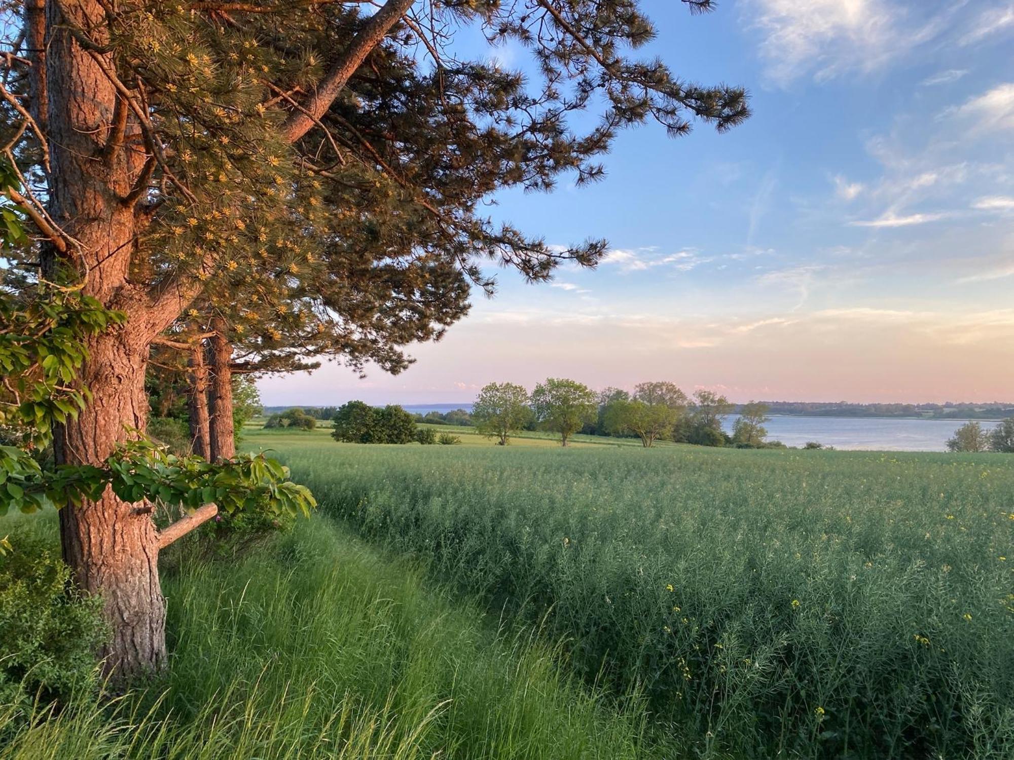 Sunset Over Water, 50 Mins From Copenhagen
